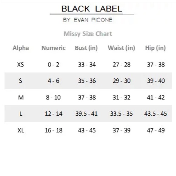 Black Label by Evan-Picone Sleeveless Fit & Flare Dress- Size 14 - Picture 10 of 10